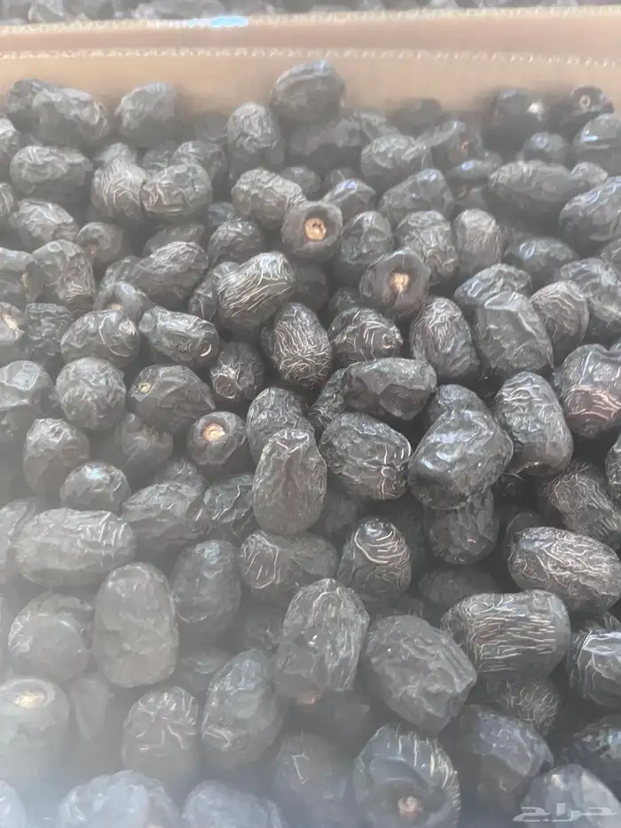 تمر عجوة 12 كرتون 0