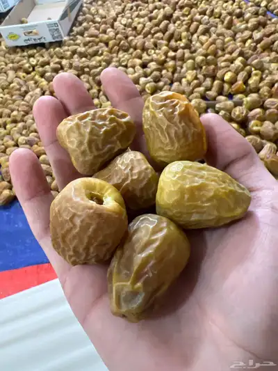 تمر سكري فاخر 0