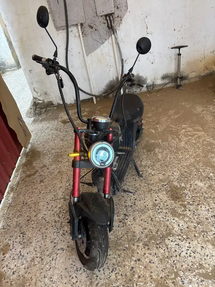 سكوتر هارلي استخدام شهرين نضيف يبغاله حاجات بسيطه 4