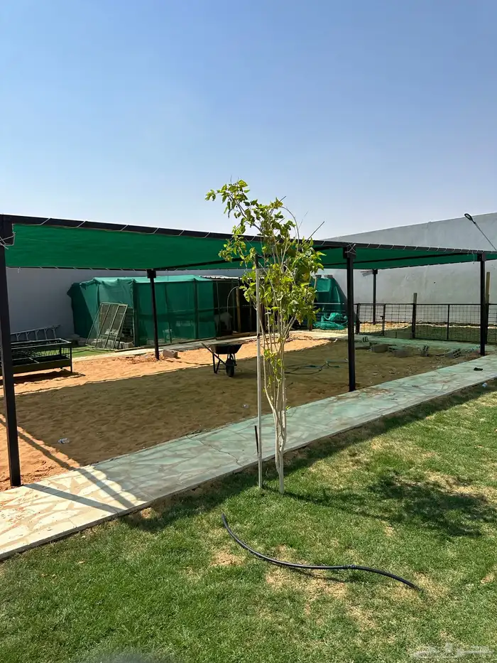 مضلات ابل 17
