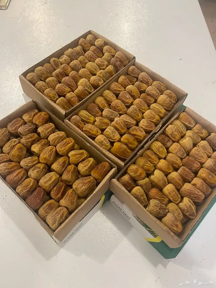 تمر سكري مفتل 1