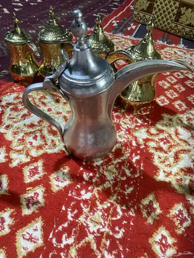 6دلال طيبات حيل سيد صالح و دقه الجوف مصنع حايل وحمصيات 23
