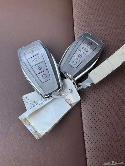 جيلي كولراي 2023 14