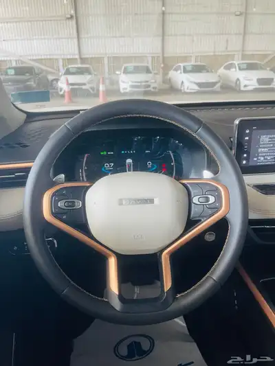 هافال جوليان اكتيف بلس 2024 20