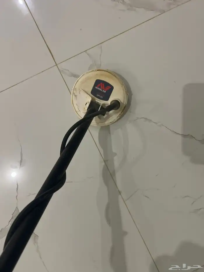 وحش الذهب 2