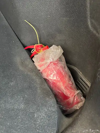 رينو كوليوس 2018 51