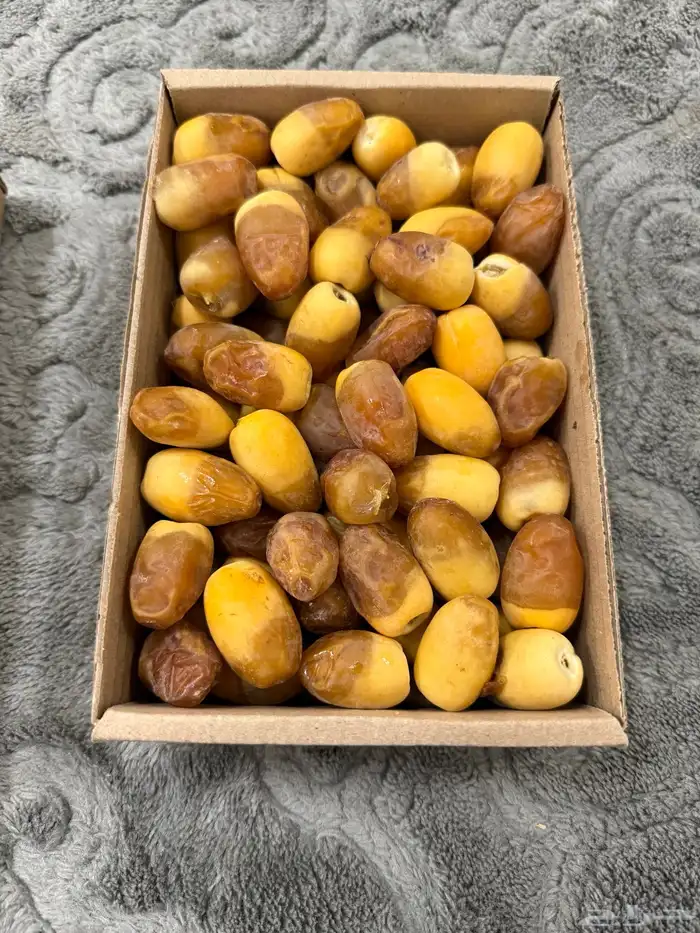 تمر خراف مناصيف وبرحي 2