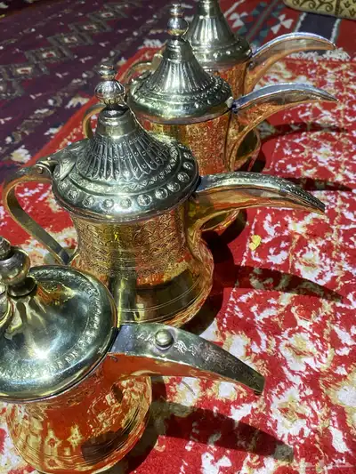 6دلال طيبات حيل سيد صالح و دقه الجوف مصنع حايل وحمصيات 22