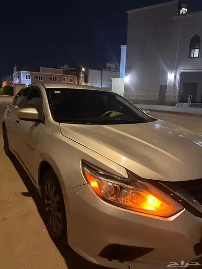 للبيع التيما 17 1