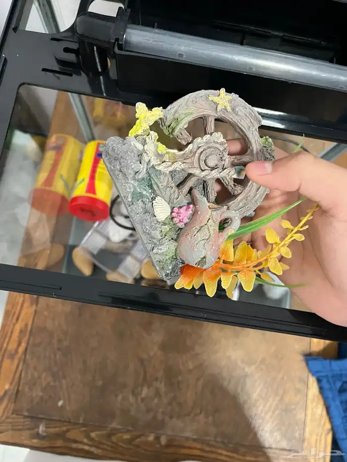 حوض سمك اقبل البدل تم البيع 1