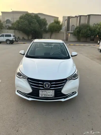 شانجان السفن 2023 ممشى قليل 20