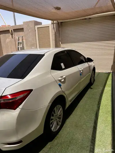كورلا 2015 1