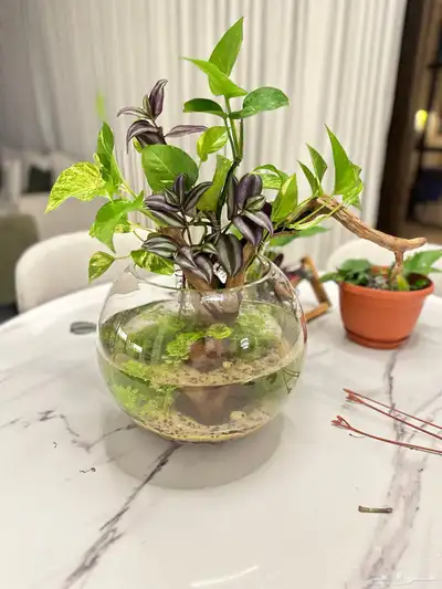 احواض نهرية احترافية بتصميم انيق 4