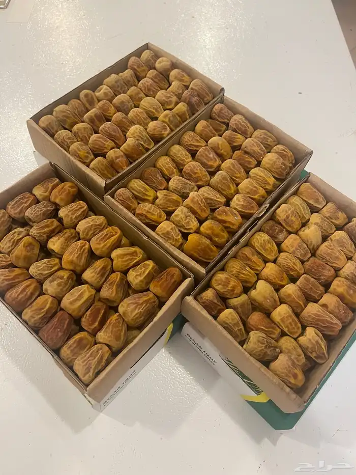 تمر سكري خراف مفتل 0