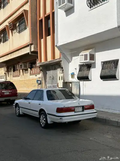 كريسدا 1993 5