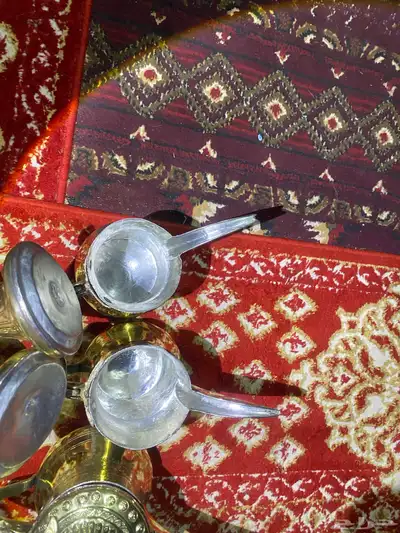 6دلال طيبات حيل سيد صالح و دقه الجوف مصنع حايل وحمصيات 19