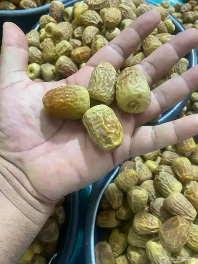 للبيع سكري مفتل. رقم 1 رقم 2  جلكسي 0