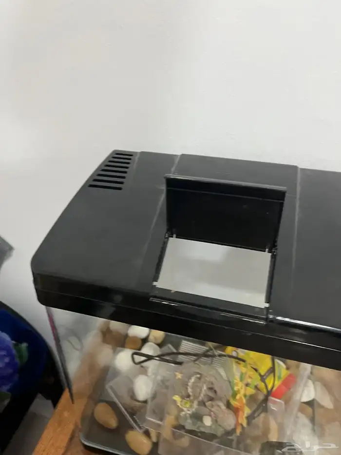 حوض سمك اقبل البدل تم البيع 7