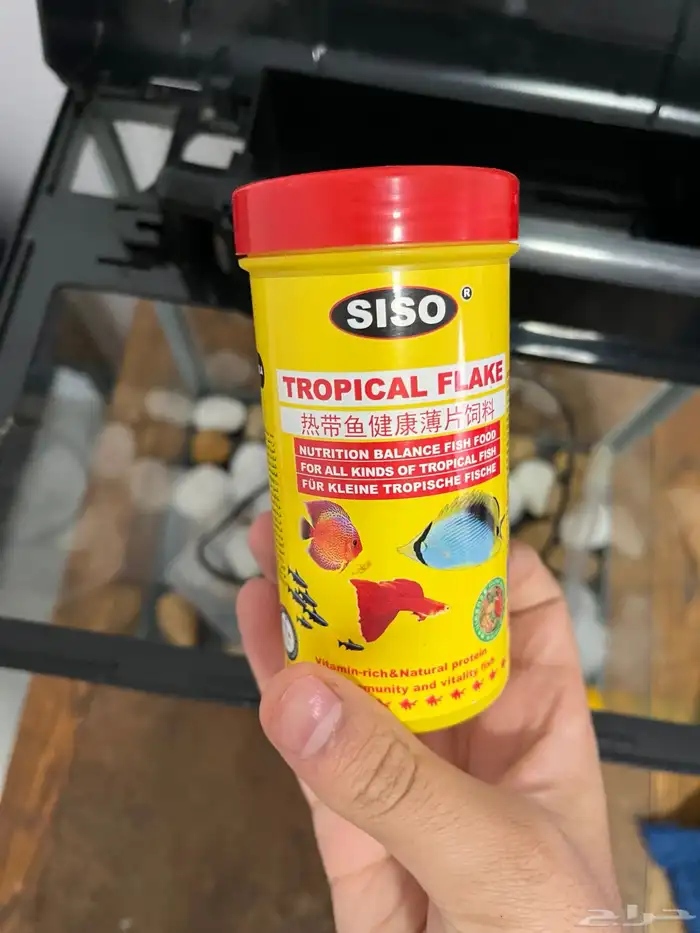 حوض سمك اقبل البدل تم البيع 3