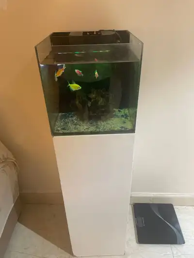 حوض اسماك زينه 0