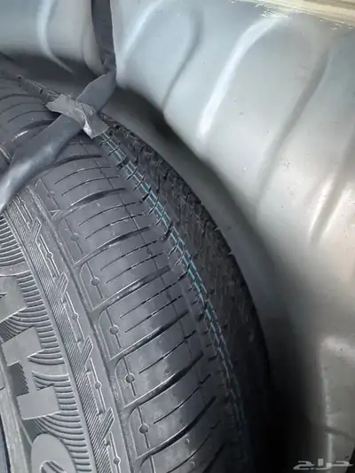 رينو كوليوس 2018 49