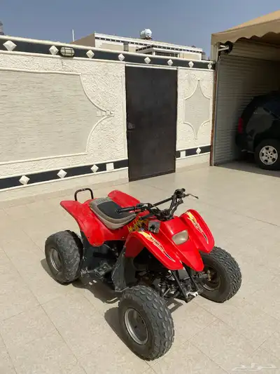 دباب سويدي نظيف للبيع 1