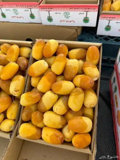 رطب خلاص الهياثم حبه كبير وفاخر 0