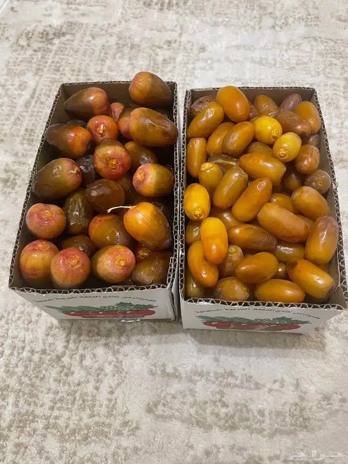 خرفه 2