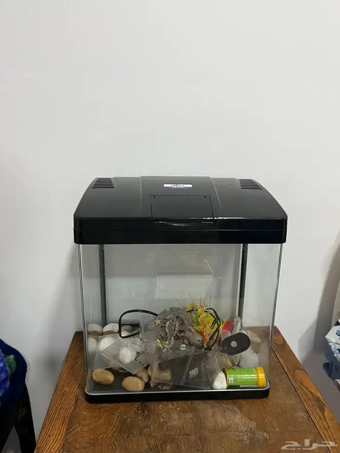 حوض سمك اقبل البدل تم البيع 9