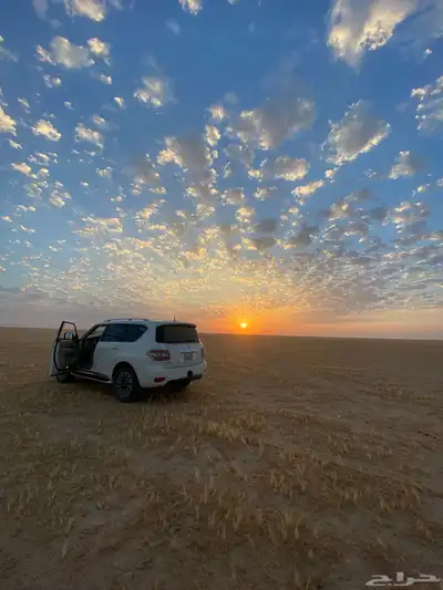 بترول بلاتنيوم 2010 حجم 400 8