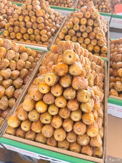 مفتلات 5