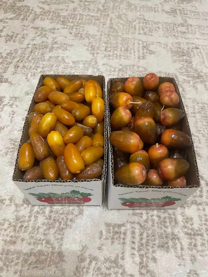 خرفه 0