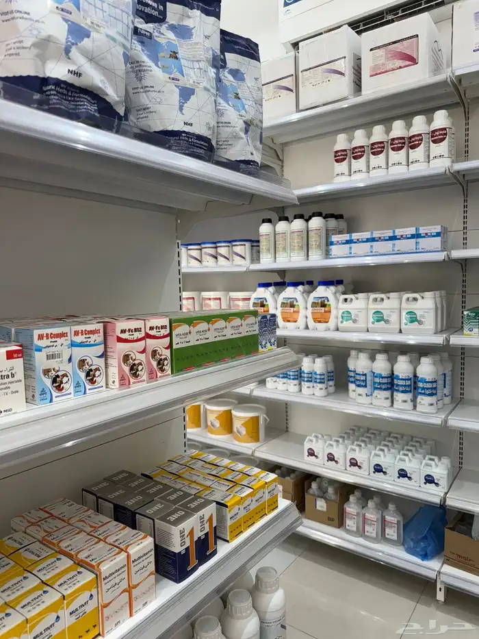 مركز صفوة الجياد 0