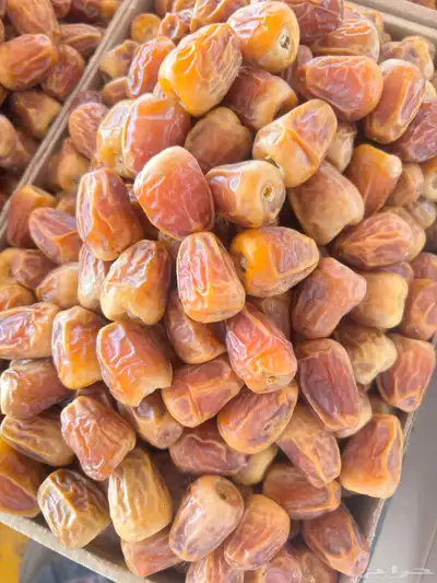مفتلات 4