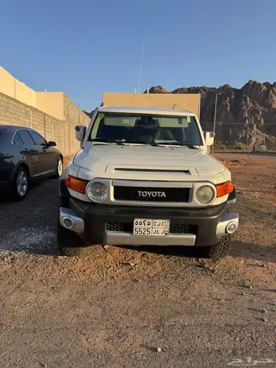 افجي 2015 12