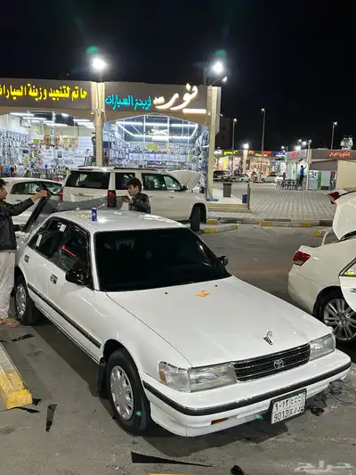 كريسدا 1993 11