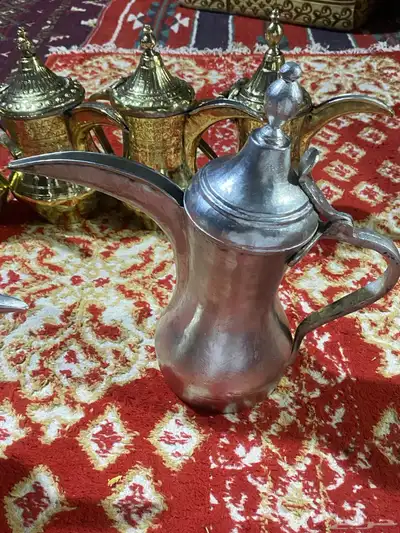 6دلال طيبات حيل سيد صالح و دقه الجوف مصنع حايل وحمصيات 4