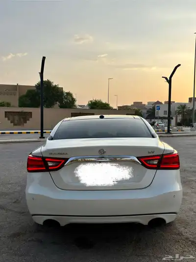 ماكسيما 2016 SV (مالك أول) 3