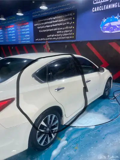 التيما 7