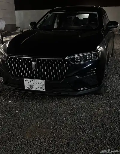 فاو بيستون تي 77 2024 3