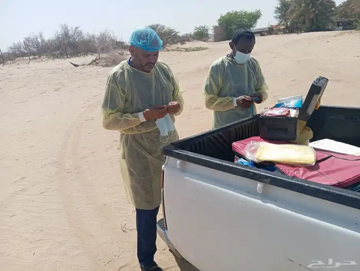 مركز صفوة الجياد 2