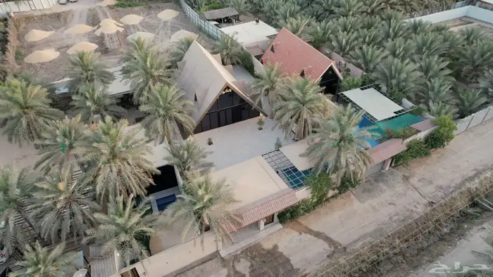 مصور درون 3