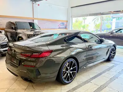 بي ام دبليو ام 850 2019 4