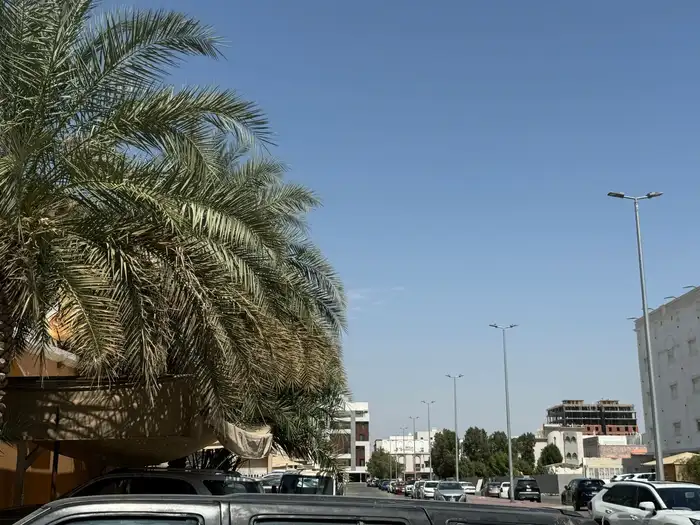 فيلا هدد حي النزهه 3