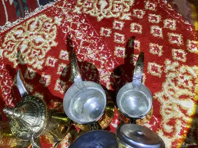 6دلال طيبات حيل سيد صالح و دقه الجوف مصنع حايل وحمصيات 18