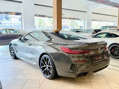 بي ام دبليو ام 850 2019 1