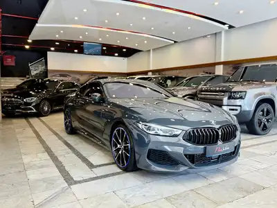 بي ام دبليو ام 850 2019 3