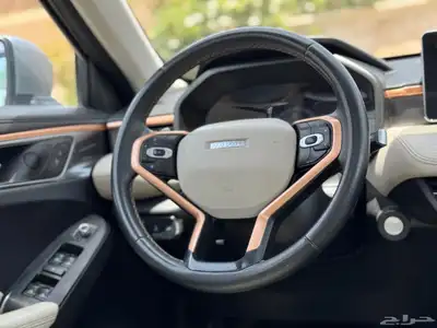 هافال جوليان 2023 12