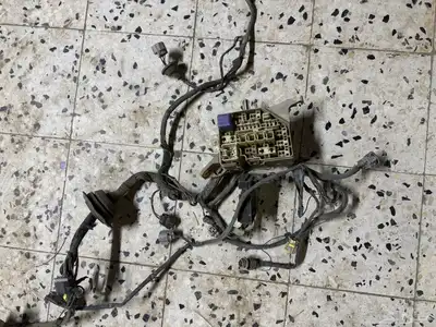 ضفيره ايكو 0