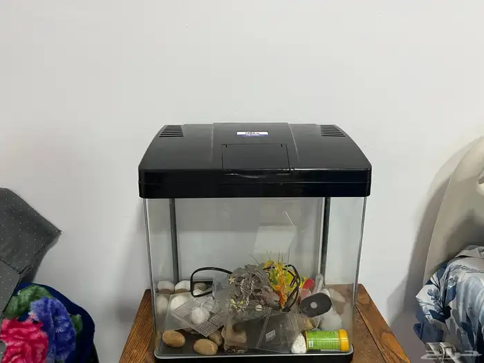 حوض سمك اقبل البدل تم البيع 8